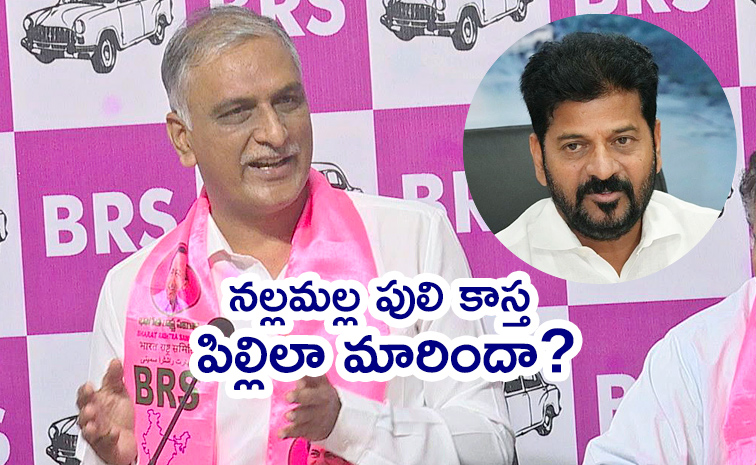 BRS-Harish-Rao.jpg