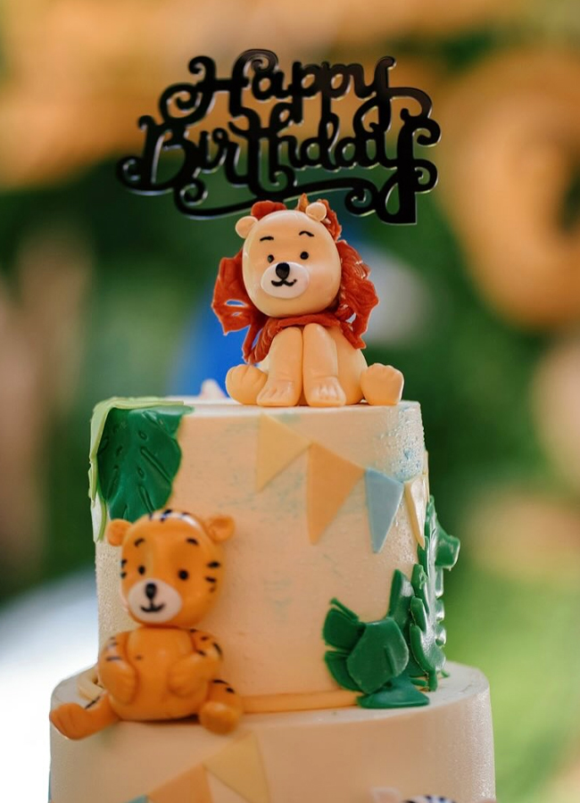Nithin_20son_20Birthday5.jpg 6