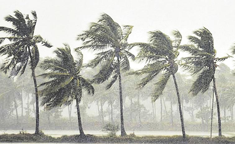 RAIN-6.jpg