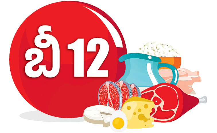 b12.jpg