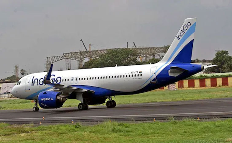 indigo.jpg