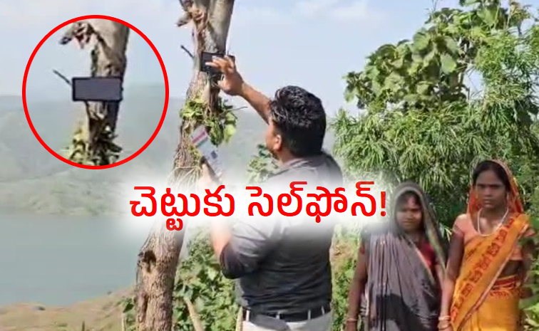 tie-phones-to-tree.jpg