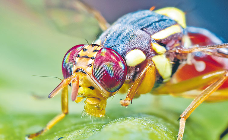 ISTOCK-1165053275.jpg