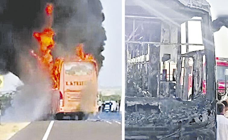 BUS.jpg