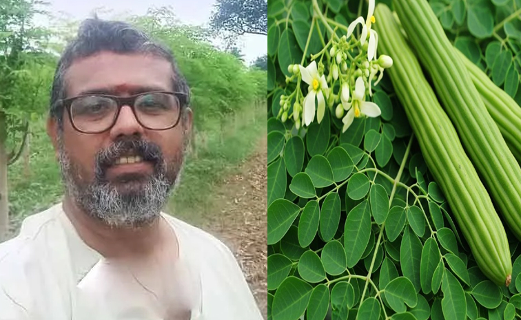 Moringa.jpg