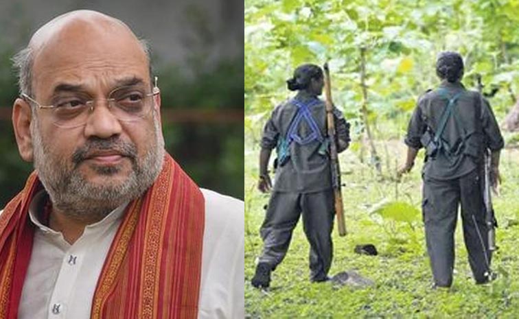 Amit_Shah_Maoist_Moment.jpg