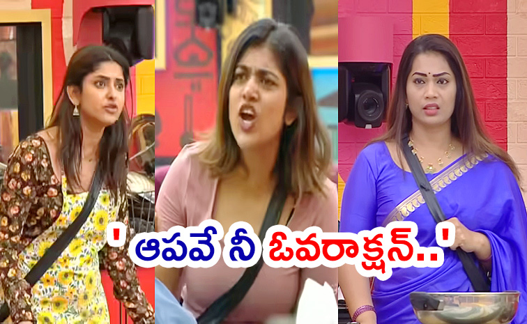 Bigg-Boss-9-Telugu.jpg