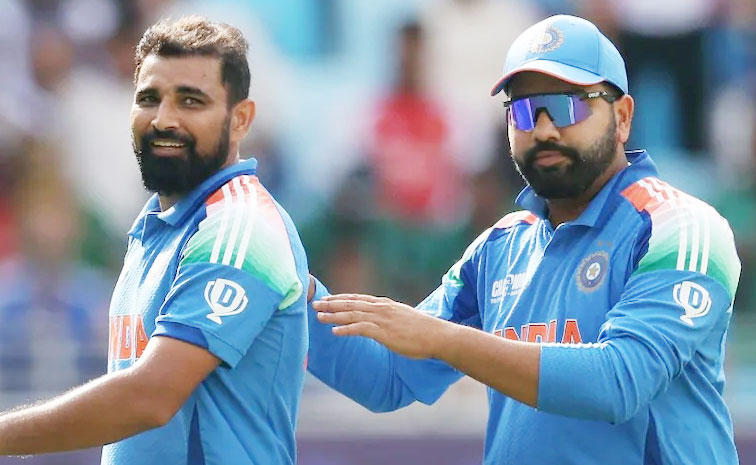 shami.jpg
