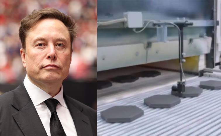 elon1.jpg
