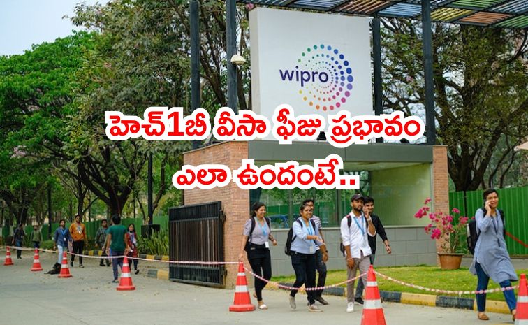 wiproo.jpg
