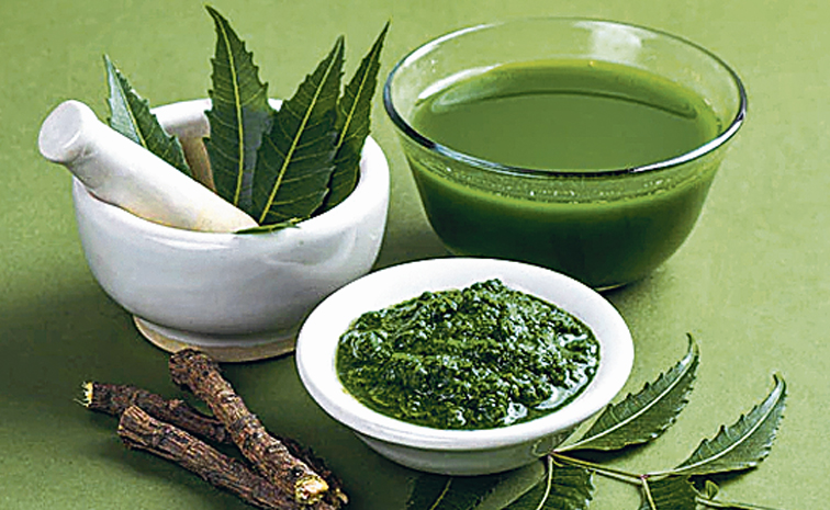 neem.jpg
