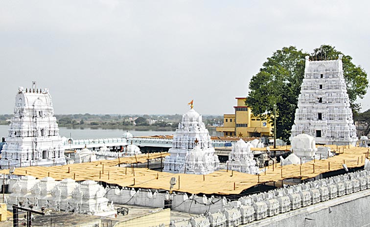 VEMULADA.jpg