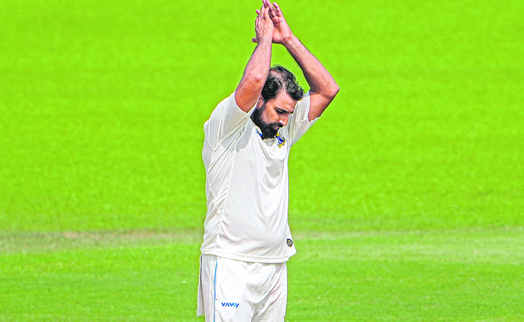 shami.jpg