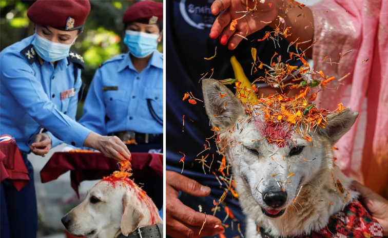 Kukur_20Tihar-diwali2025.jpg