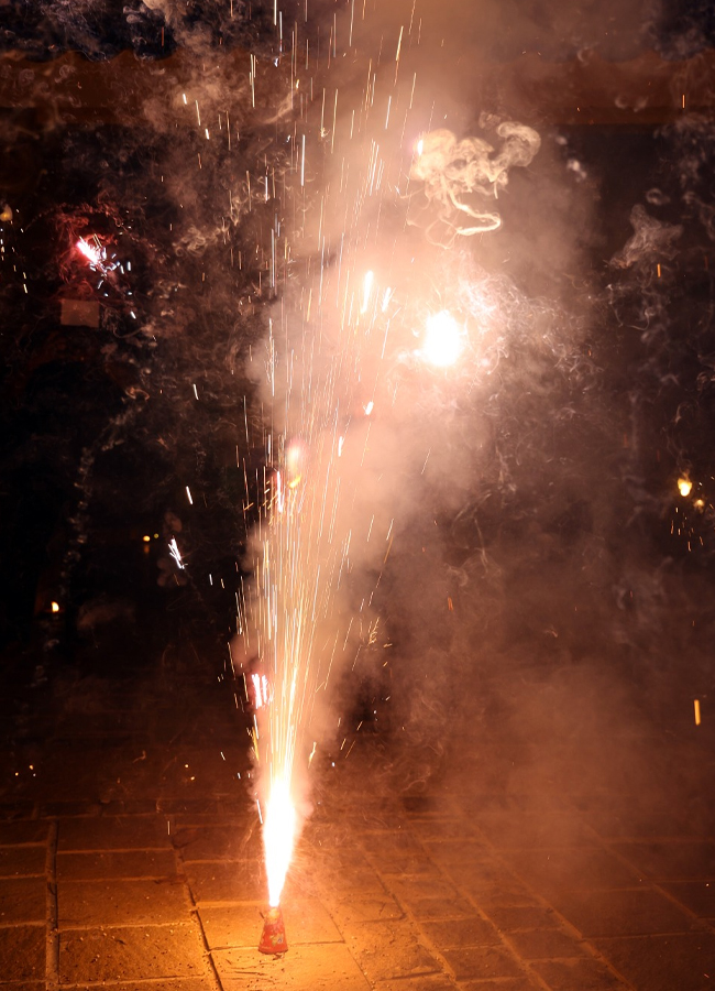 ys_20jagan_20sir_20diwali_20celebrations13.jpg 14