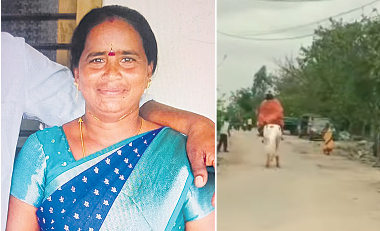 9696.jpg