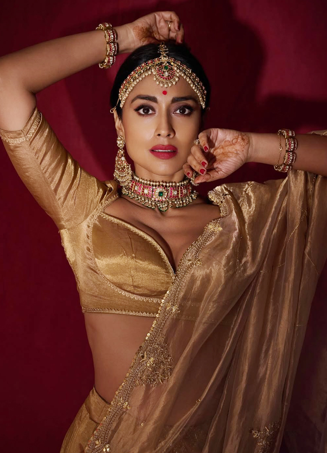 Shriya_20saran_20diwali_20looks12.jpg 13