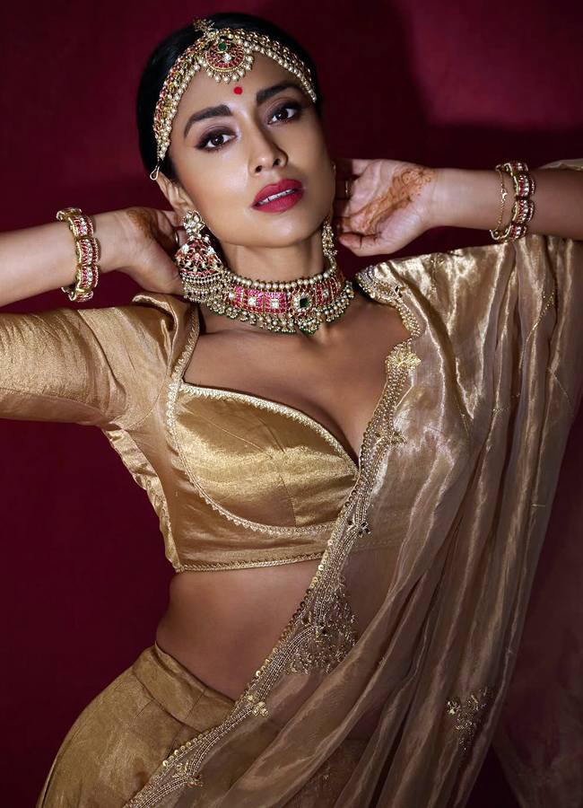 Shriya_20saran_20diwali_20looks13.jpg 14