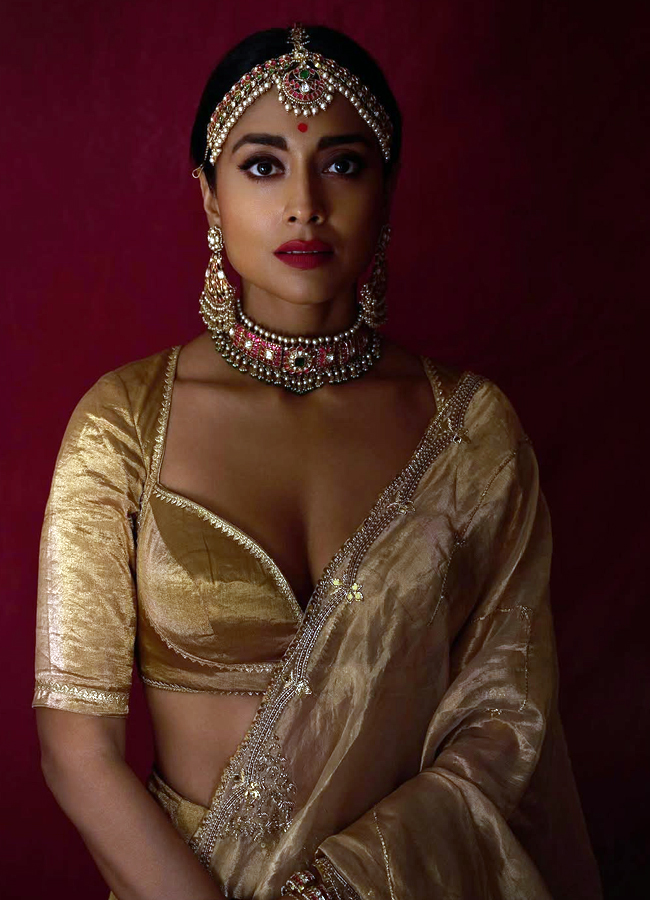 Shriya_20saran_20diwali_20looks5.jpg 6