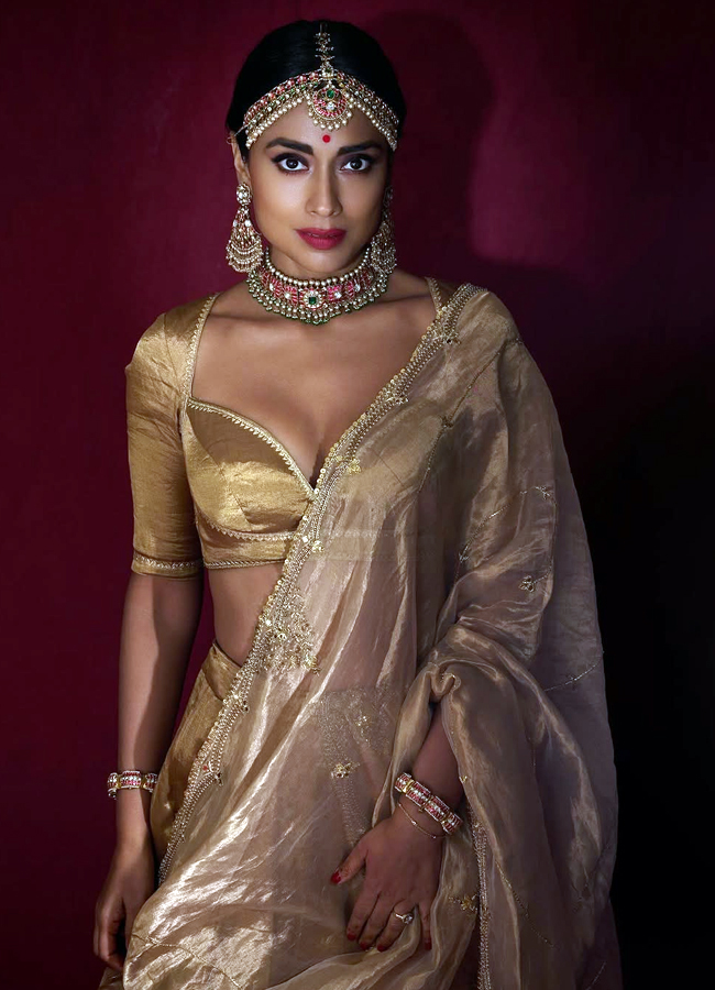 Shriya_20saran_20diwali_20looks9.jpg 10