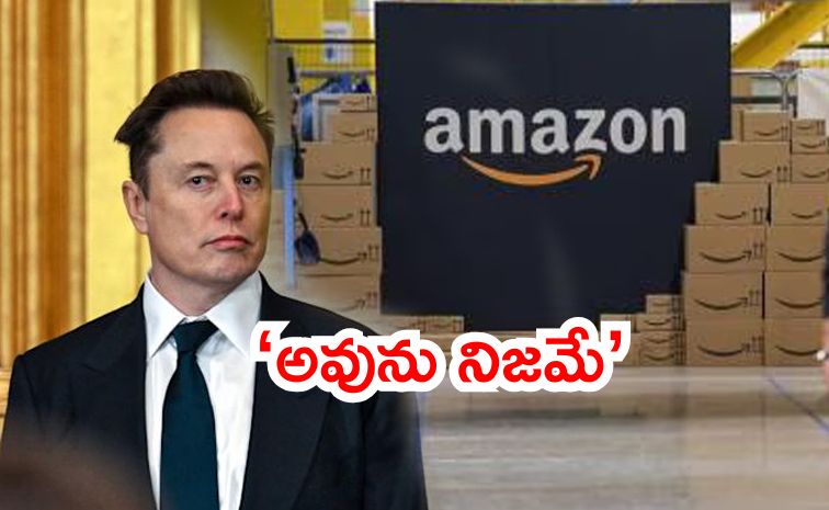 amazon_0.jpg