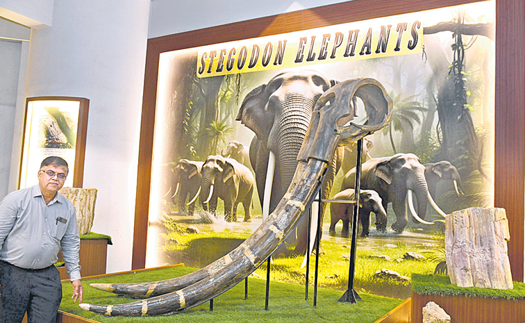 elephant.jpg