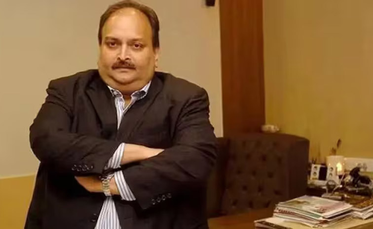 mohul-main.jpg