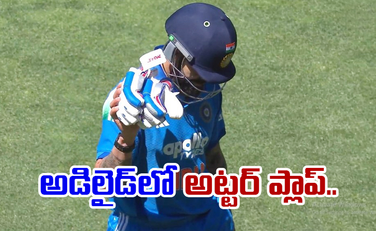 kohli_0.jpg