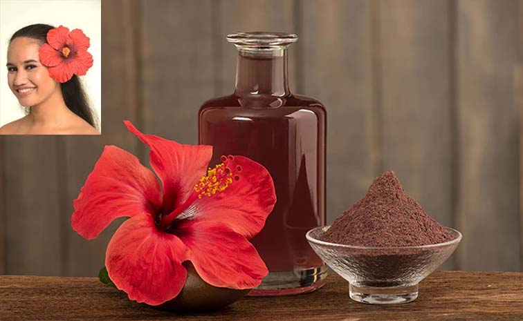 hibiscu.jpg