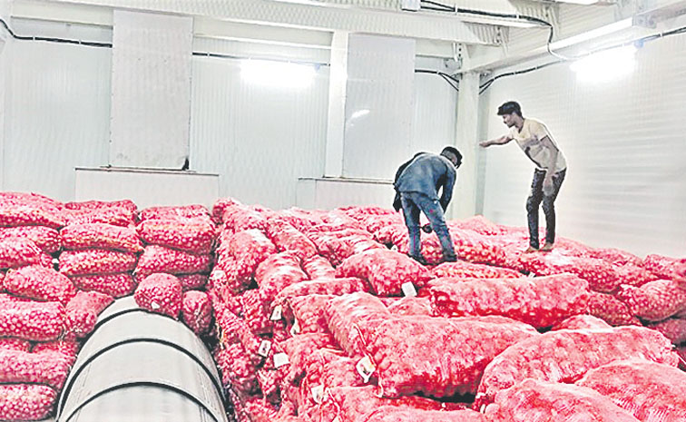 onions.jpg