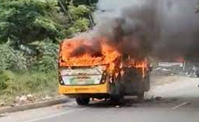 School-Bus-Catches.jpg