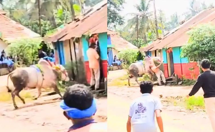 Mahalingappa.jpg