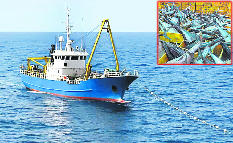 SEA.jpg
