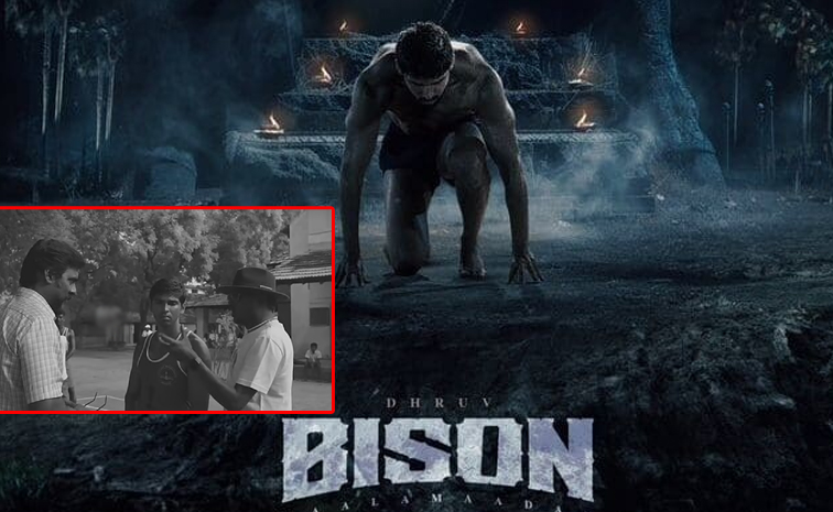 bison.jpg