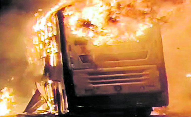 bus_20ss.jpg