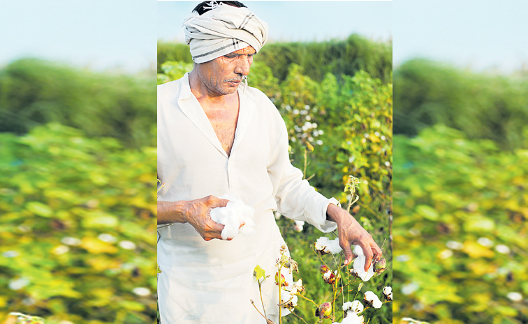 farmer.jpg