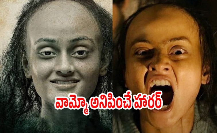 vash2-review-telugu.jpg