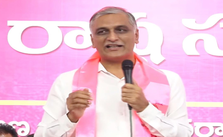 harish_20rao_0.jpg