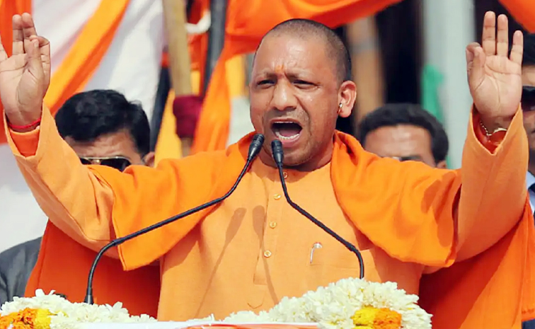 yogi.jpg