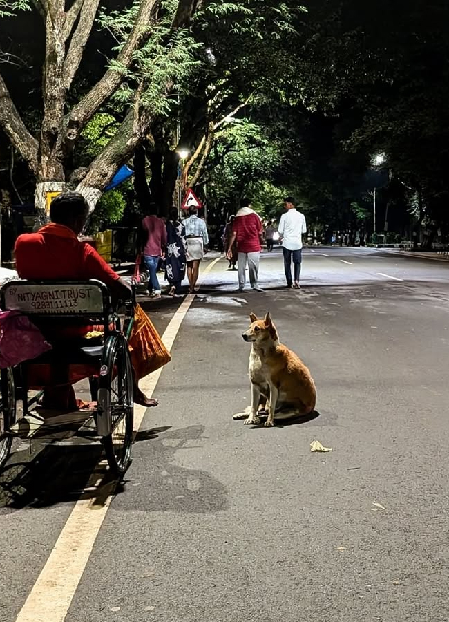 Komalee_20prasad10.jpg 11