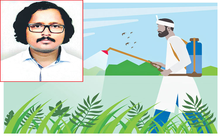 Paddy-Farmer--1431079138.jpg