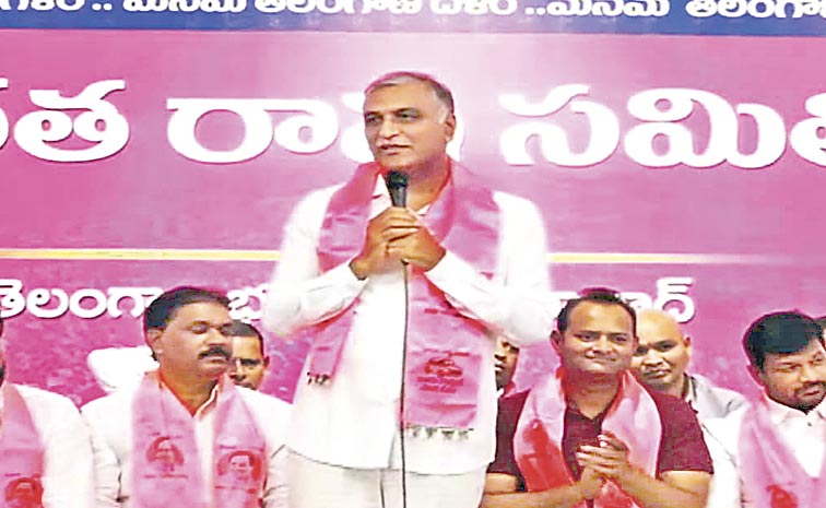 harfish-rao2.jpg