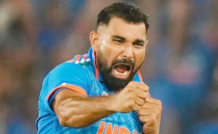 shami.jpg