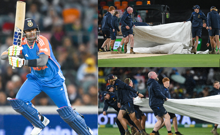 cricket_0.jpg