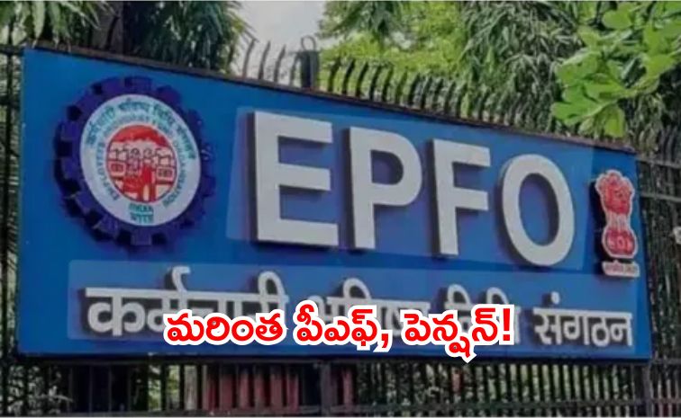 epf_20_281_29.jpg