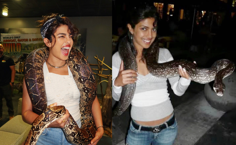 priyankachopra.jpg