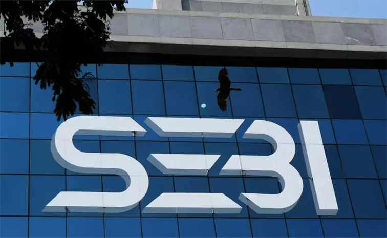 sebi01.jpg