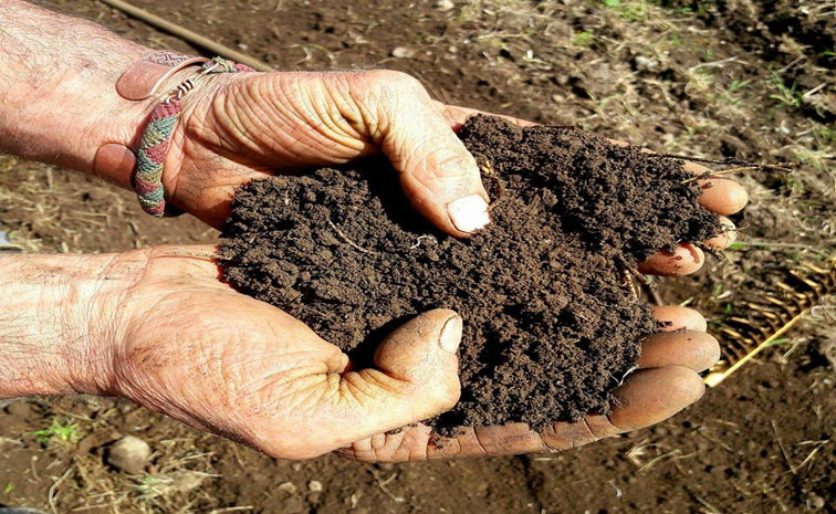 soil.jpg