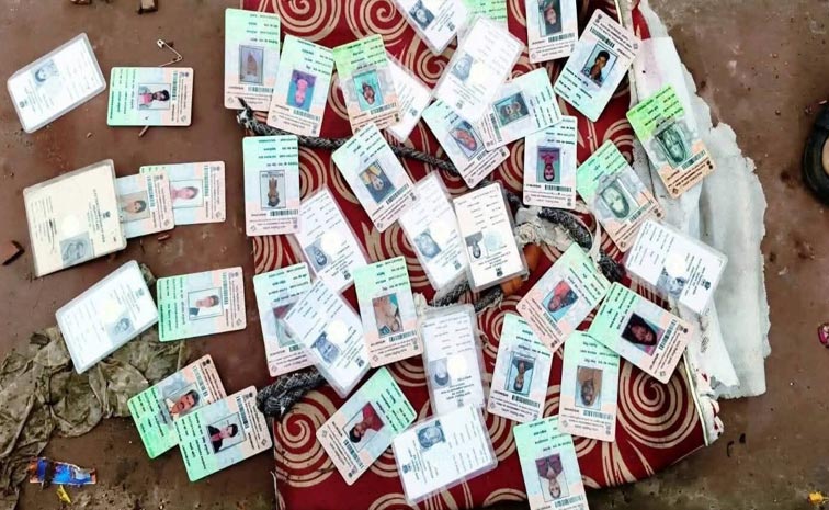 Voter_Cards_News.jpg