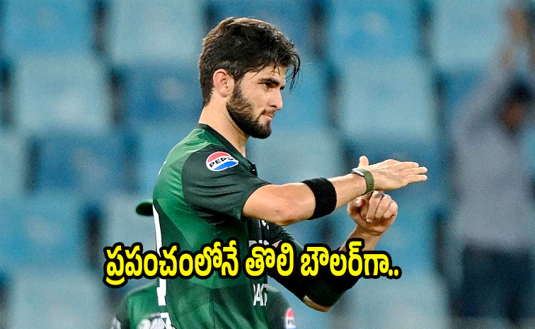 afridi1.jpg